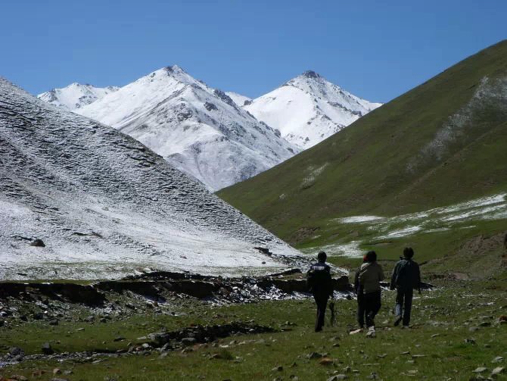 031635925684116819.jpeg 春冬一天.jpg