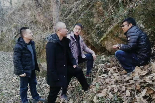 251645779809549849.jpeg 微信圖片_20220225160427_副本.jpg