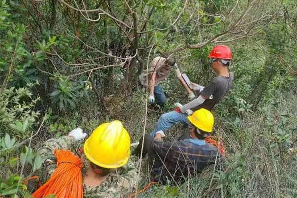 041656922146142280.jpeg 微信圖片_20220704092223_副本.jpg