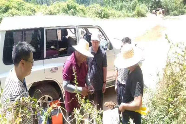 291659086764124770.jpeg 1-2.jpg