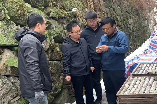 221679472314145894.jpeg 微信圖片_20230322103200_副本.jpg