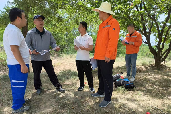 241719222469150318.jpeg 11.jpg